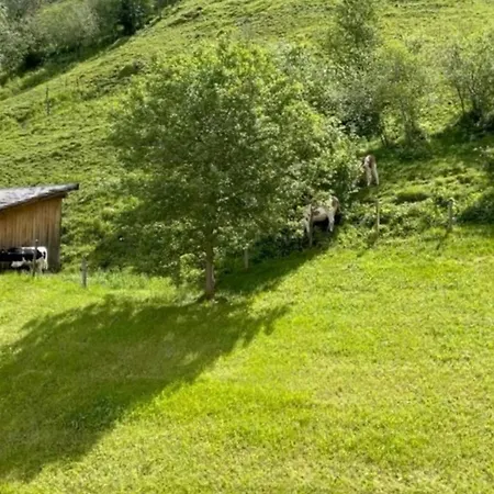 Martina 5 By Smr - Close To Gondola And * Rauris